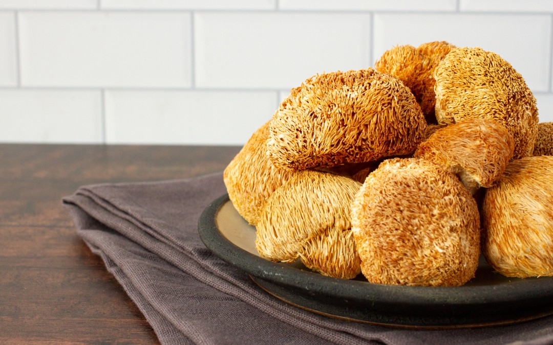 Dried lion's mane mushrooms